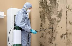 Mold Odor Removal Services in Charleston, SC